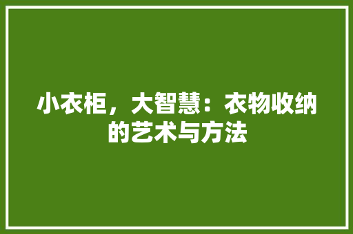 小衣柜，大智慧：衣物收纳的艺术与方法 现代风格装饰