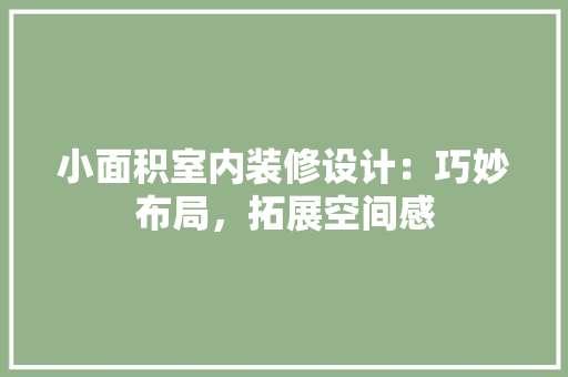 小面积室内装修设计：巧妙布局，拓展空间感 现代风格装饰