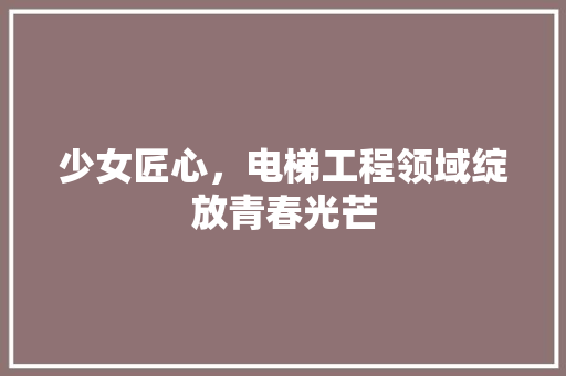 少女匠心，电梯工程领域绽放青春光芒 现代风格装饰