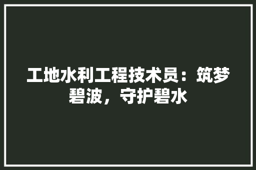 工地水利工程技术员：筑梦碧波，守护碧水 现代风格装饰