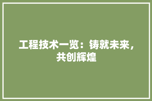 工程技术一览：铸就未来，共创辉煌 现代风格装饰