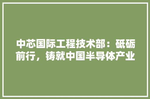 中芯国际工程技术部：砥砺前行，铸就中国半导体产业的脊梁 家居装修