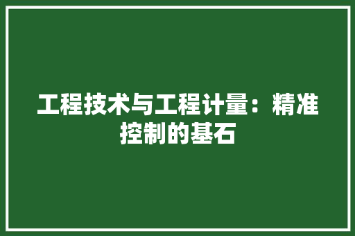 工程技术与工程计量：精准控制的基石 现代风格装饰