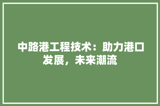 中路港工程技术：助力港口发展，未来潮流