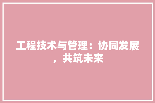 工程技术与管理：协同发展，共筑未来 现代风格装饰