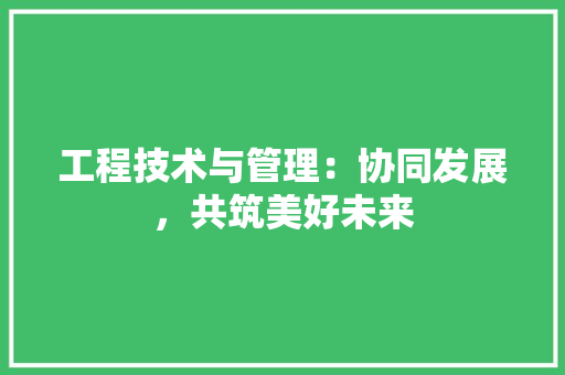 工程技术与管理：协同发展，共筑美好未来 现代风格装饰