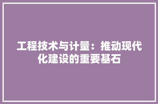 工程技术与计量：推动现代化建设的重要基石 现代风格装饰