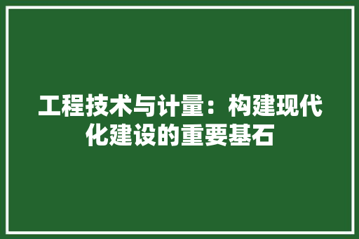 工程技术与计量：构建现代化建设的重要基石 现代风格装饰
