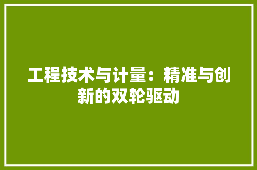 工程技术与计量：精准与创新的双轮驱动 现代风格装饰