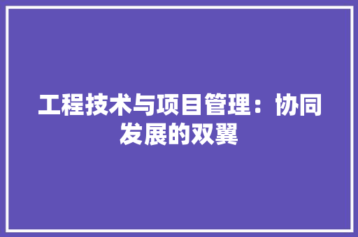 工程技术与项目管理：协同发展的双翼 现代风格装饰