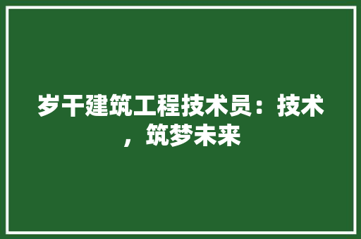 岁干建筑工程技术员：技术，筑梦未来 现代风格装饰