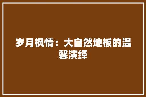 岁月枫情：大自然地板的温馨演绎 现代风格装饰