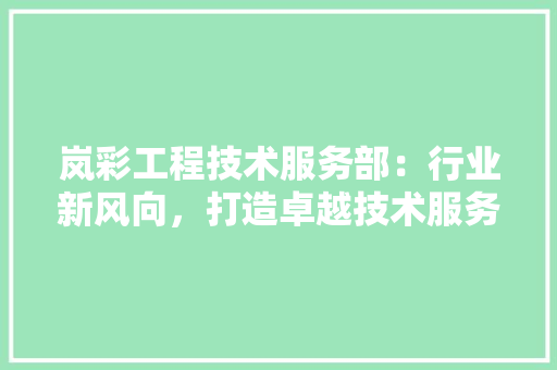 岚彩工程技术服务部：行业新风向，打造卓越技术服务品牌 现代风格装饰