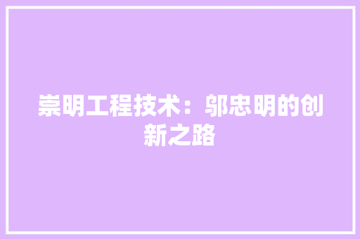崇明工程技术：邬忠明的创新之路 现代风格装饰