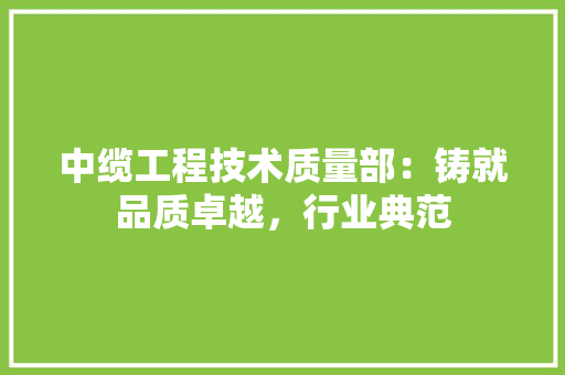 中缆工程技术质量部：铸就品质卓越，行业典范 家居装修