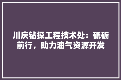 川庆钻探工程技术处：砥砺前行，助力油气资源开发 现代风格装饰