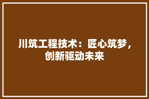 川筑工程技术：匠心筑梦，创新驱动未来 现代风格装饰