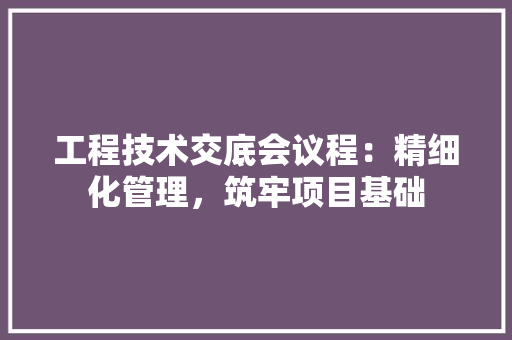 工程技术交底会议程：精细化管理，筑牢项目基础 现代风格装饰