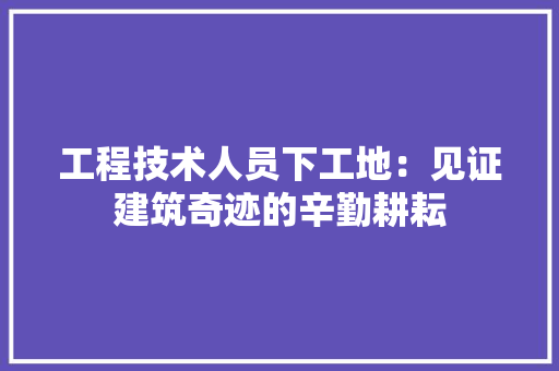 工程技术人员下工地：见证建筑奇迹的辛勤耕耘 现代风格装饰