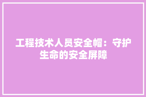工程技术人员安全帽：守护生命的安全屏障 现代风格装饰