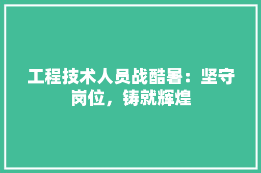 工程技术人员战酷暑：坚守岗位，铸就辉煌 现代风格装饰