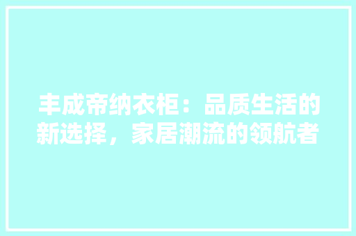 丰成帝纳衣柜：品质生活的新选择，家居潮流的领航者 家居装修