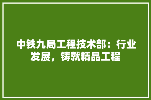 中铁九局工程技术部：行业发展，铸就精品工程 家居装修