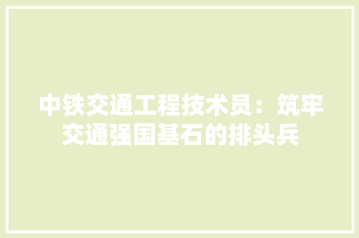 中铁交通工程技术员：筑牢交通强国基石的排头兵