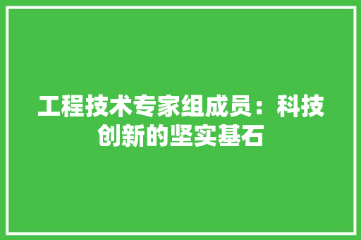 工程技术专家组成员：科技创新的坚实基石 现代风格装饰