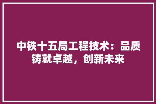 中铁十五局工程技术：品质铸就卓越，创新未来 家居装修