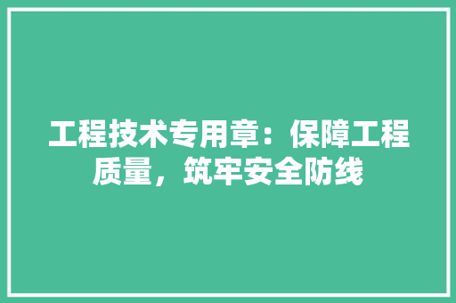 工程技术专用章：保障工程质量，筑牢安全防线 现代风格装饰