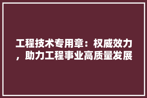 工程技术专用章：权威效力，助力工程事业高质量发展 现代风格装饰