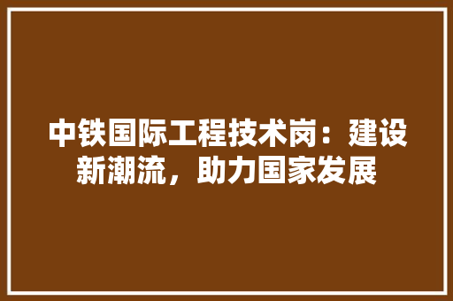 中铁国际工程技术岗：建设新潮流，助力国家发展 家居装修