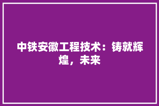 中铁安徽工程技术：铸就辉煌，未来 家居装修