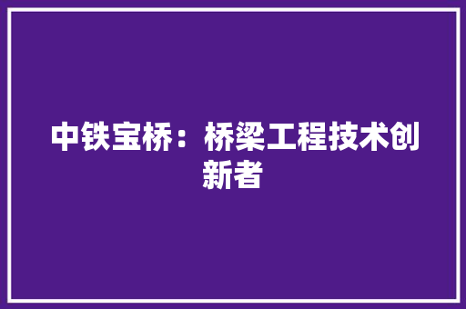 中铁宝桥：桥梁工程技术创新者
