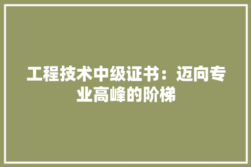 工程技术中级证书：迈向专业高峰的阶梯