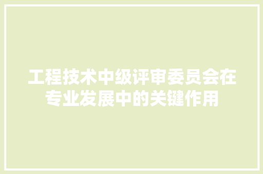 工程技术中级评审委员会在专业发展中的关键作用