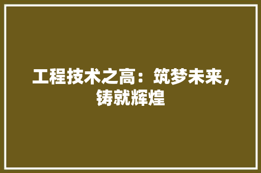 工程技术之高：筑梦未来，铸就辉煌