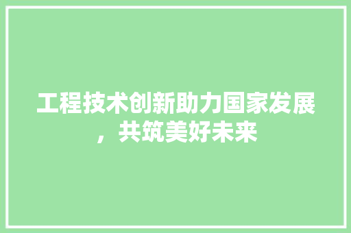 工程技术创新助力国家发展，共筑美好未来 现代风格装饰
