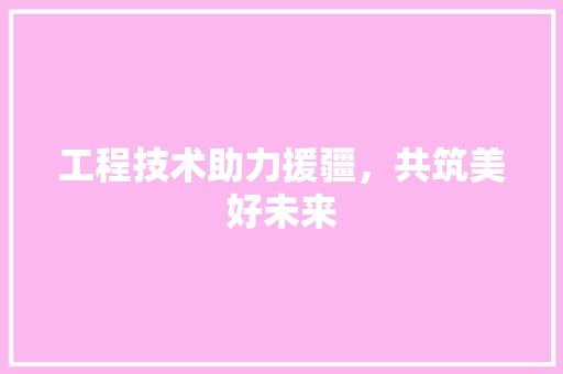 工程技术助力援疆，共筑美好未来 现代风格装饰