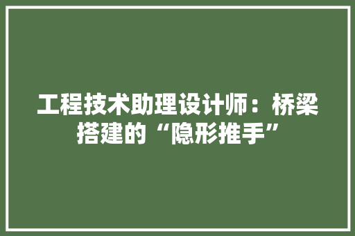 工程技术助理设计师：桥梁搭建的“隐形推手” 现代风格装饰