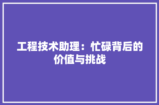 工程技术助理：忙碌背后的价值与挑战 现代风格装饰