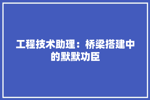 工程技术助理：桥梁搭建中的默默功臣 现代风格装饰