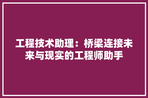 工程技术助理：桥梁连接未来与现实的工程师助手