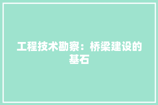 工程技术勘察：桥梁建设的基石 现代风格装饰