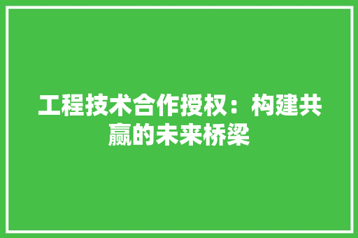 工程技术合作授权：构建共赢的未来桥梁 现代风格装饰