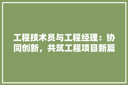 工程技术员与工程经理：协同创新，共筑工程项目新篇章 现代风格装饰