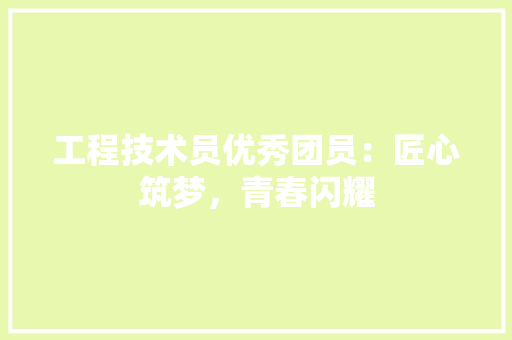 工程技术员优秀团员：匠心筑梦，青春闪耀 现代风格装饰
