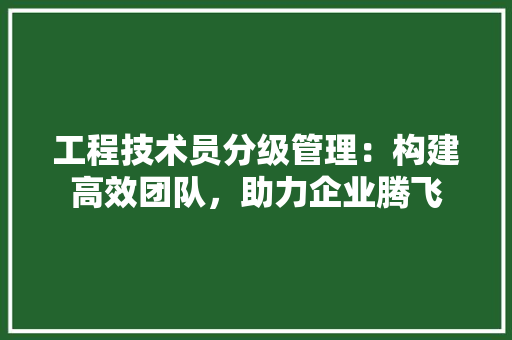 工程技术员分级管理：构建高效团队，助力企业腾飞