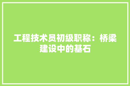 工程技术员初级职称：桥梁建设中的基石 现代风格装饰